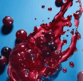 Cranberry extract ingredient used in ProvaDent oral supplement