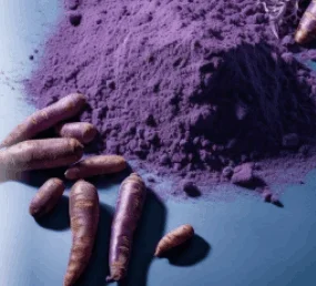 Purple carrot powder ingredient used in ProvaDent formula